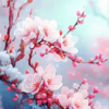 ÷��ֱ�����ٰ�appv2.8 ��׿��
