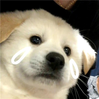 ����С��ͷ��ɰ��ϼ� �Ҹ��ؾ��Ա�Ȼ������