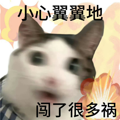 ǰ�󷴲�����ԸΥ����� С���������˺ܶ��