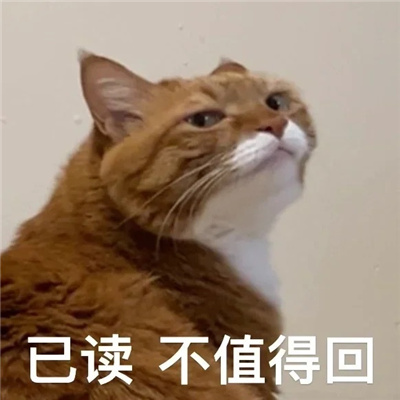 ���������ȭ�����ı���� �Ѷ���ֵ�û�