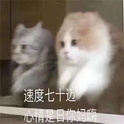 �°���û������������ �������쳬���ĵı���ϼ�