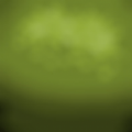 PVZʱ��֮��дʵ��v0.0.2 ��׿��