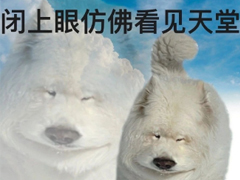 ÿ�첻���ϰ����������ڵ�˵˵ �������ְ������ȫ��˵˵