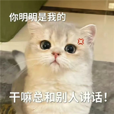 �����ֳ���Ц�ı��� ���������ҵĸ����ܺͱ��˽���