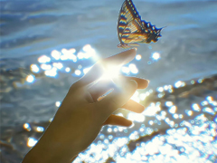 �������ϸ߼������İ� �����Լ���������¼