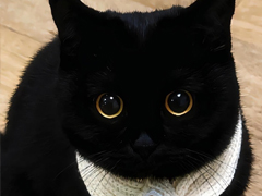 ��ʰ���ֵ��Ҹ�����ǩ�� ȡ���Լ����ֵ�ǩ��