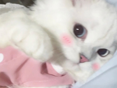 ���극���ɢ�����Ҹ�˵˵ �������е�ɢ������¼