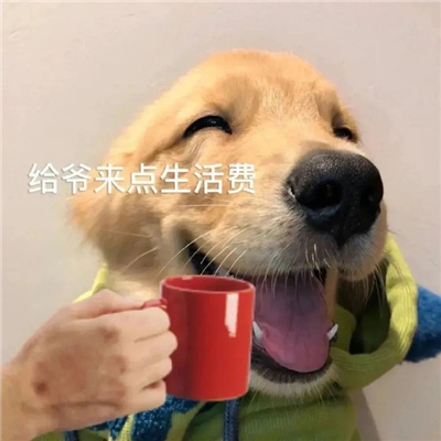 ��������΢�Ź��ӱ��� ��ү���������