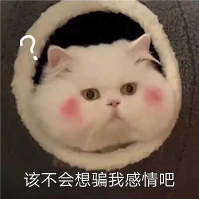 ����Ĭ����Ȥ�Ķ�����ϼ� Ц����Ȥζ�ı����ȫ