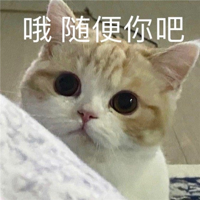 �������鳬�õĿɰ������ȫ �����Ϻ����еĻ��ȱ���