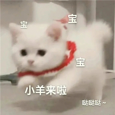 ����ܻ��й������°� ����Ƚϻ�ı���ϼ�