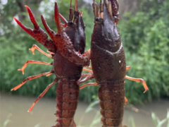 �ļ�����Ϻ������Ȧ�İ� ��Ϻ����Ȥ˵˵