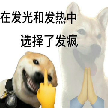 006WYq6ngy1hg18kylepkj30yi0szaee.jpg