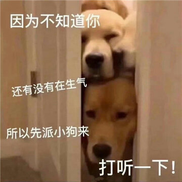 006WYq6ngy1hg18kzheuxj30sg0sgjv2.jpg