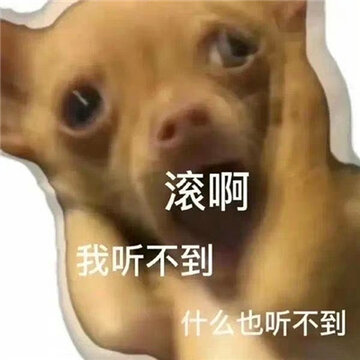 006WYq6ngy1hg18kzuh5hj30go0gogma.jpg