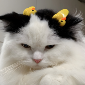 ���ճ�����Ȧ�İ��̾� ���ص��ճ��İ��ɾ�