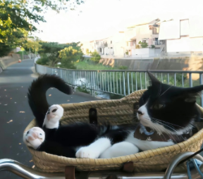 ���������˵˵������Ȧ �º��ۺ�ѹ���Լ���˵˵