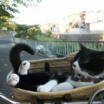 ���������˵˵������Ȧ �º��ۺ�ѹ���Լ���˵˵