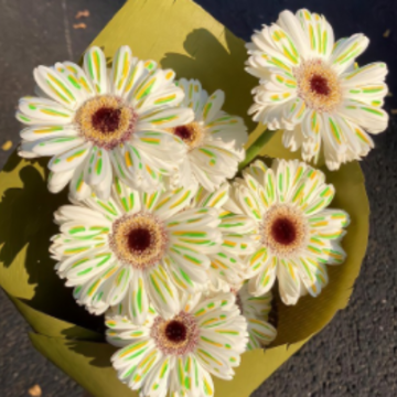 ������Ů���������鷢����Ȧ�İ� Ů��ί������������˵˵