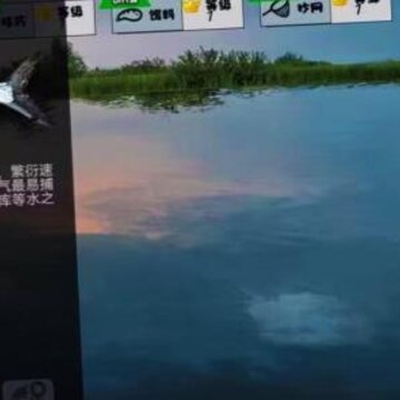 ���ֵ��ӵ���