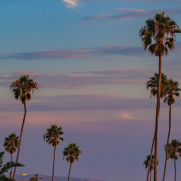 �ʺ���ҹ������������İ� ��ã��ҹ�¶����İ��̾�