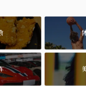 ��������ֽapp