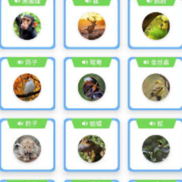 �汾���¾�ѡapp