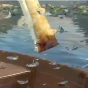 �����ʦ���ʰ�