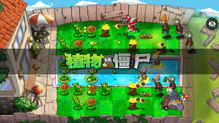 PVZ������