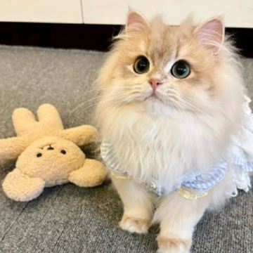���������ʵĸ���ǩ���̾� �˼��˰�������ǩ��
