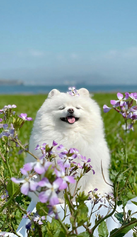���������ϵ��ֽ�ܸ߼� ÿ�Ŷ��ǰ������еı�ֽ
