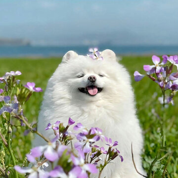 ���������ϵ��ֽ�ܸ߼� ÿ�Ŷ��ǰ������еı�ֽ