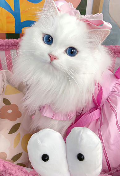 ��ֽ����ֵ��ӵ���Ϳ���ֵһ�� �û��µ�