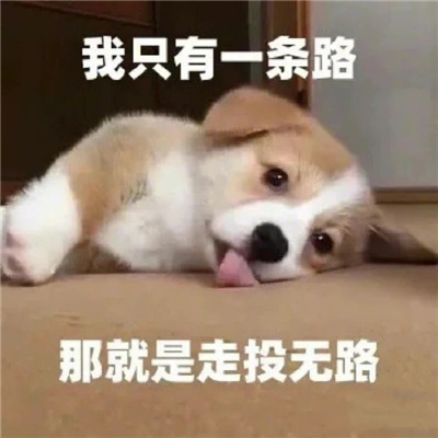 �����ֺ�������ı��� ��ֻ��һ��·����