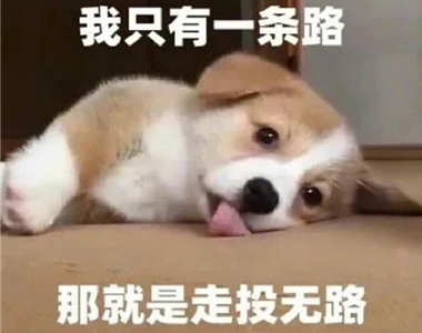 �����ֺ�������ı��� ��ֻ��һ��·������Ͷ��·