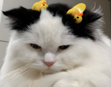 ���ճ�����Ȧ�İ��̾� ���ص��ճ��İ��ɾ�