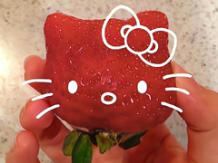 ���Լ��Ľ��ǩ�� ���Լ����˵�ǩ��