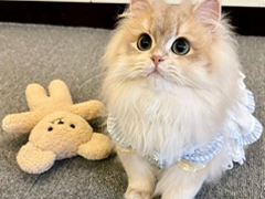 ���������ʵĸ���ǩ���̾� �˼��˰�������ǩ��