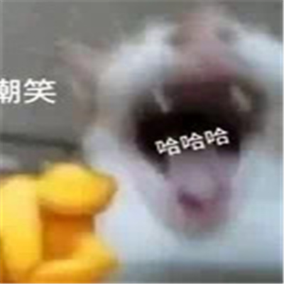 ��è��Ц��������� ��Ц�ֺ��õ���ɫ��