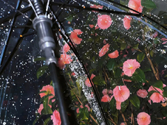 �����ڸ���ǩ���ľ��޶̾� 2024΢������ǩ��ÿһ�䳬��