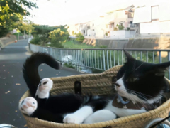 ���������˵˵������Ȧ �º��ۺ�ѹ���Լ���˵˵