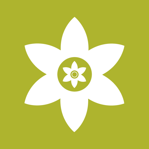��װʨapp����v1.3 ���°�