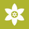 ��װʨapp����v1.3 ���°�