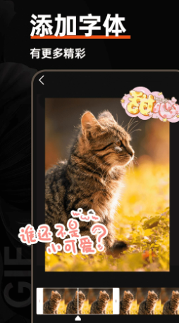 GIF��ͼ������v1.0.5 �ٷ���
