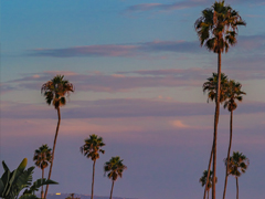�ʺ���ҹ������������İ� ��ã��ҹ�¶����İ��̾�