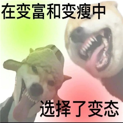 �������ű������Ц �ٱ主�ͱ�����ѡ��