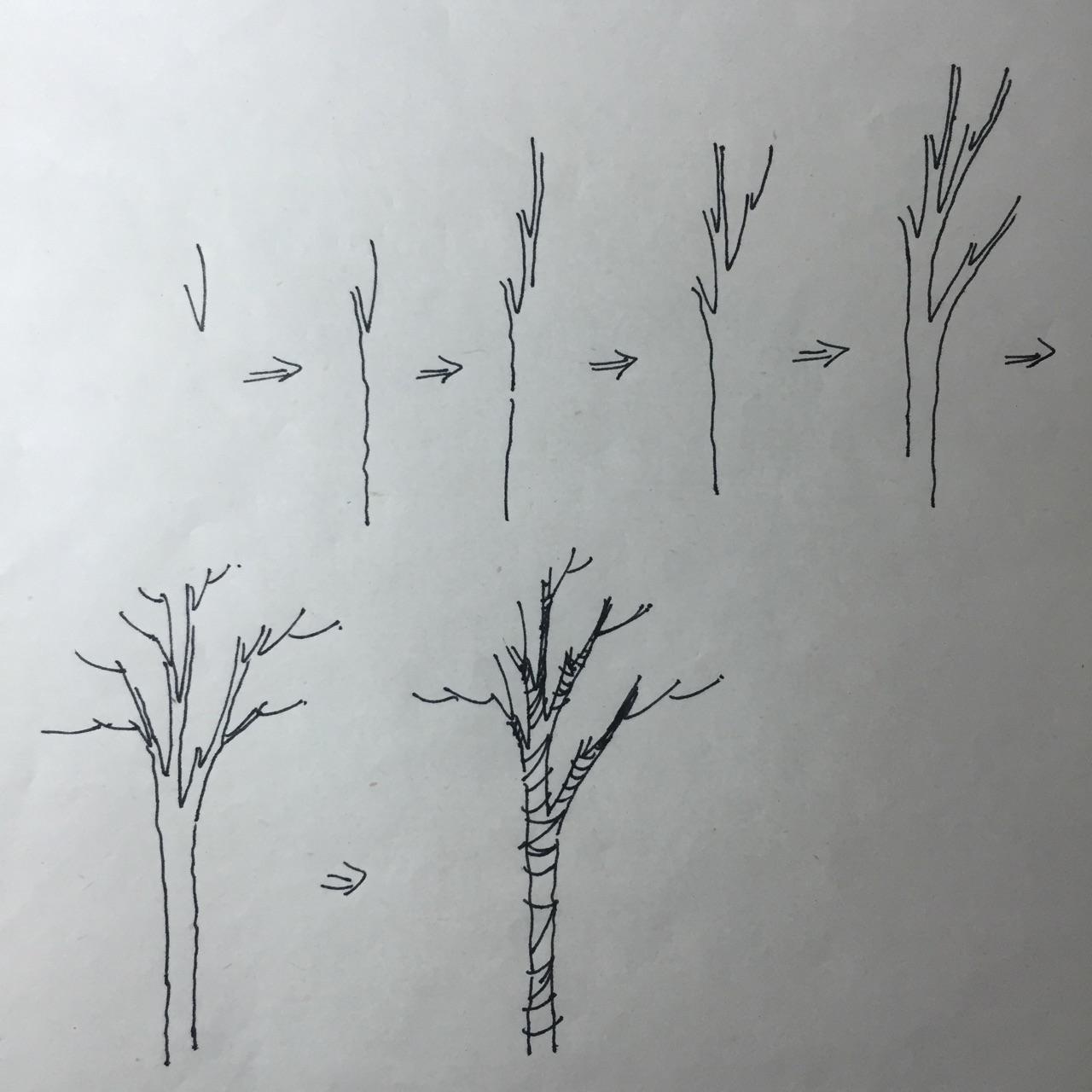 绘画之树 树干分叉画法步骤示意图