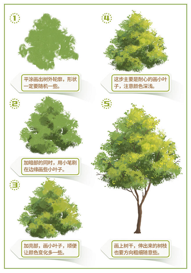 绘画之树简单入门教程分享 零基础手绘一棵树的过程图