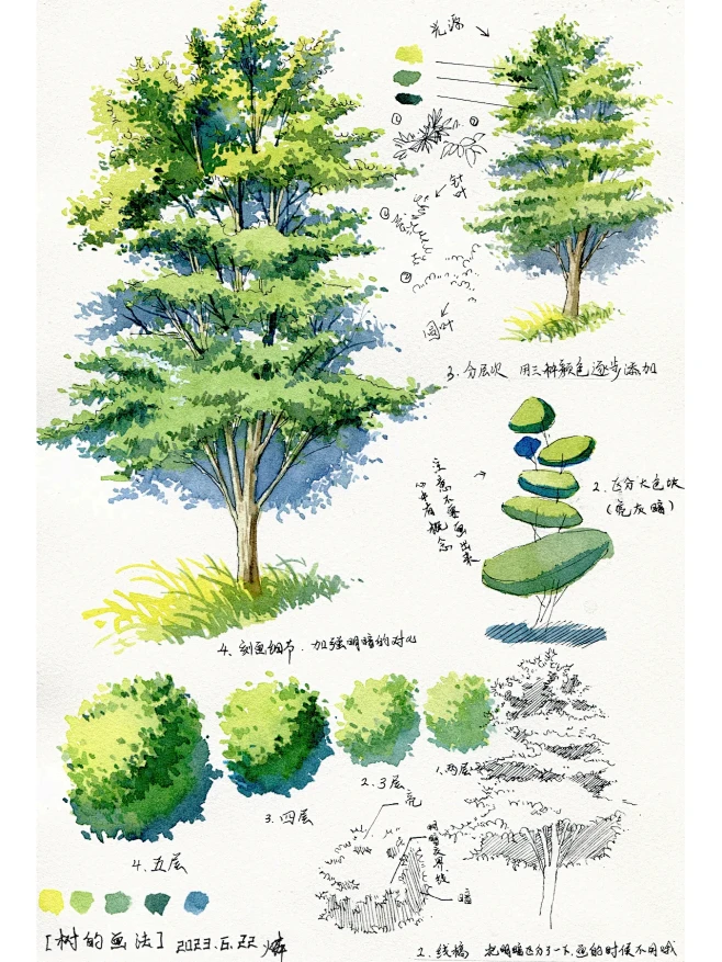 绘画之树 上色和细节修饰完成效果图