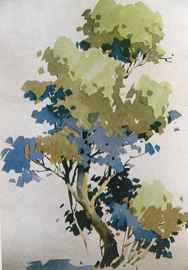 绘画之树 树冠云朵波浪线画法教程图